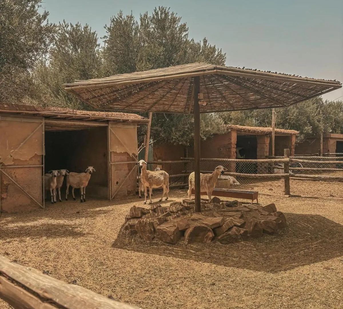 Domaine Golfique Lamrah - Pavillon 5 Chambres Marrakesz